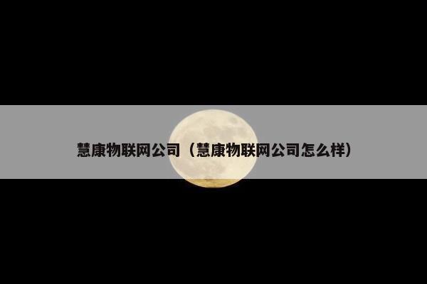 慧康物联网公司（慧康物联网公司怎么样）