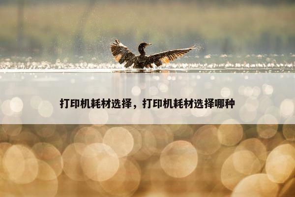 打印机耗材选择，打印机耗材选择哪种