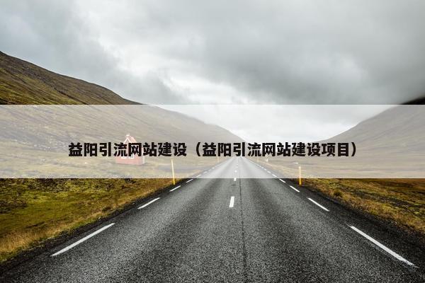 益阳引流网站建设（益阳引流网站建设项目）