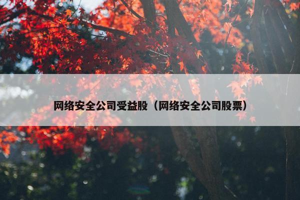 网络安全公司受益股（网络安全公司股票）
