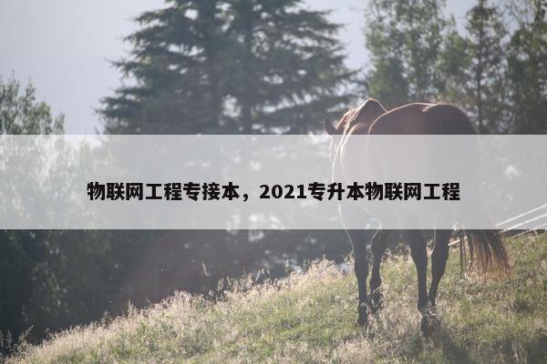 物联网工程专接本，2021专升本物联网工程