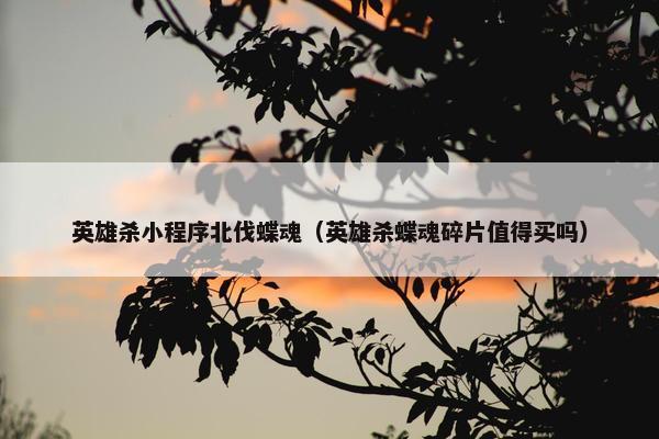 英雄杀小程序北伐蝶魂（英雄杀蝶魂碎片值得买吗）