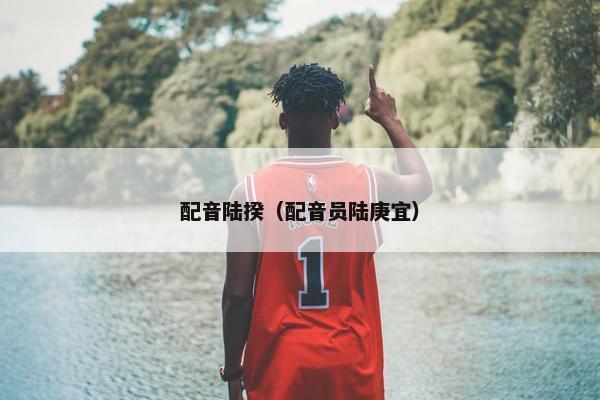 配音陆揆（配音员陆庚宜）