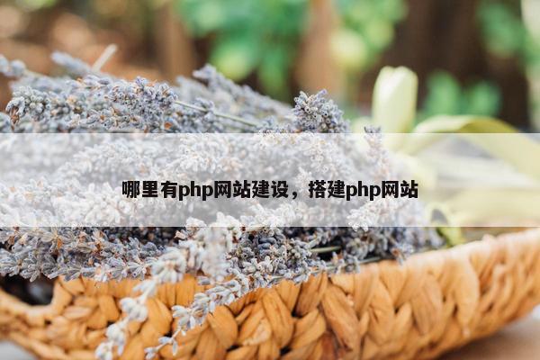 哪里有php网站建设，搭建php网站