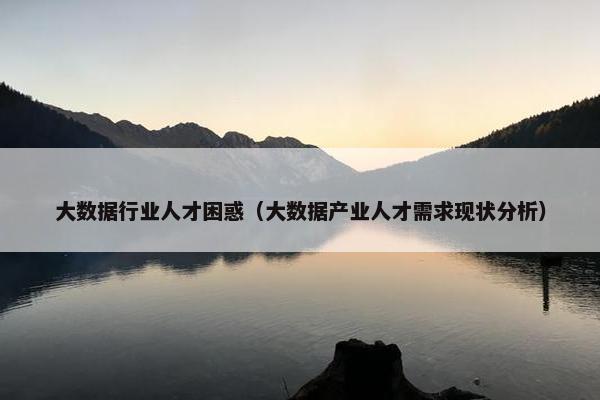大数据行业人才困惑（大数据产业人才需求现状分析）