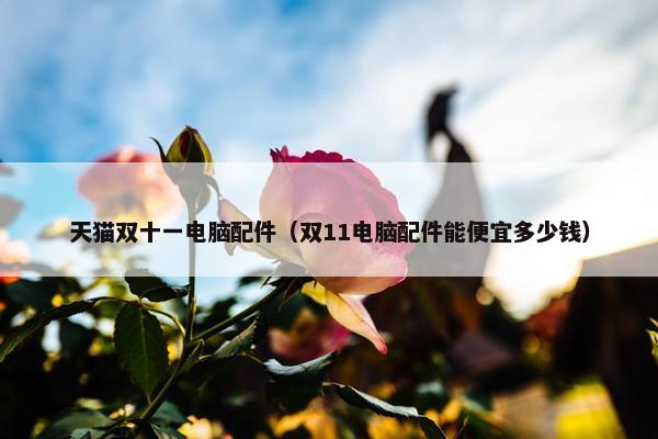 天猫双十一电脑配件（双11电脑配件能便宜多少钱）
