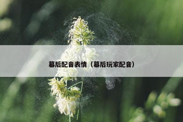 幕后配音表情（幕后玩家配音）
