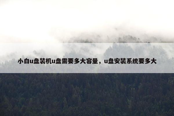 小白u盘装机u盘需要多大容量，u盘安装系统要多大