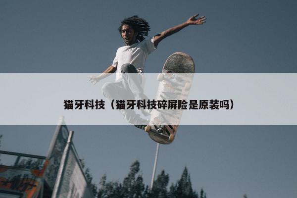 猫牙科技（猫牙科技碎屏险是原装吗）