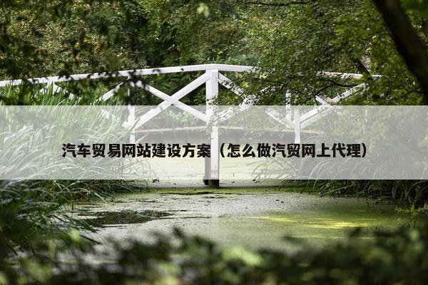 汽车贸易网站建设方案（怎么做汽贸网上代理）
