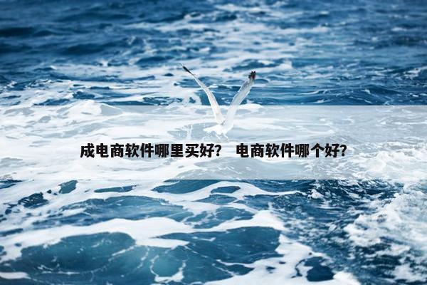 成电商软件哪里买好？ 电商软件哪个好？