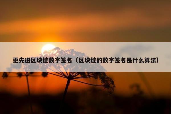 更先进区块链数字签名（区块链的数字签名是什么算法）