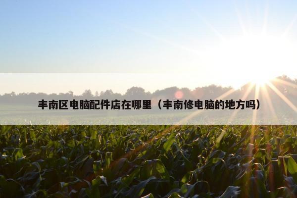 丰南区电脑配件店在哪里（丰南修电脑的地方吗）