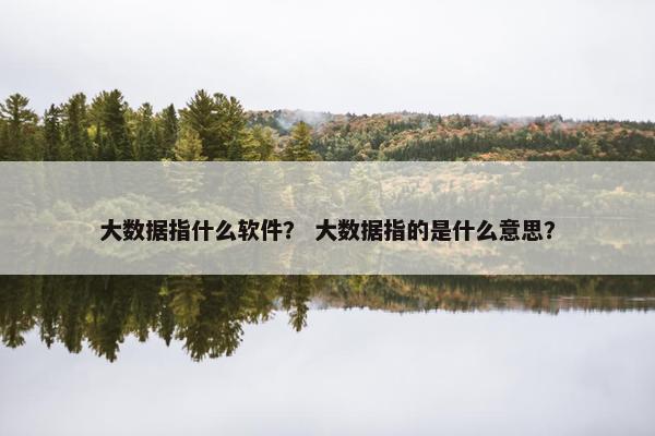 大数据指什么软件？ 大数据指的是什么意思？