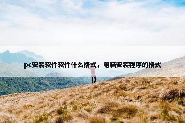 pc安装软件软件什么格式，电脑安装程序的格式