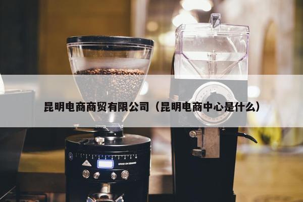 昆明电商商贸有限公司（昆明电商中心是什么）