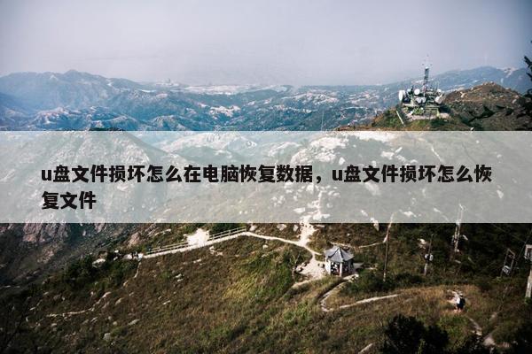 u盘文件损坏怎么在电脑恢复数据，u盘文件损坏怎么恢复文件