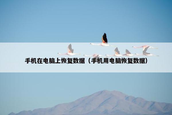 手机在电脑上恢复数据（手机用电脑恢复数据）