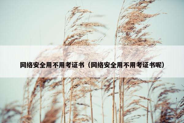 网络安全用不用考证书（网络安全用不用考证书呢）