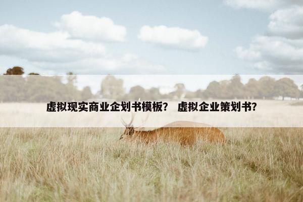虚拟现实商业企划书模板？ 虚拟企业策划书？