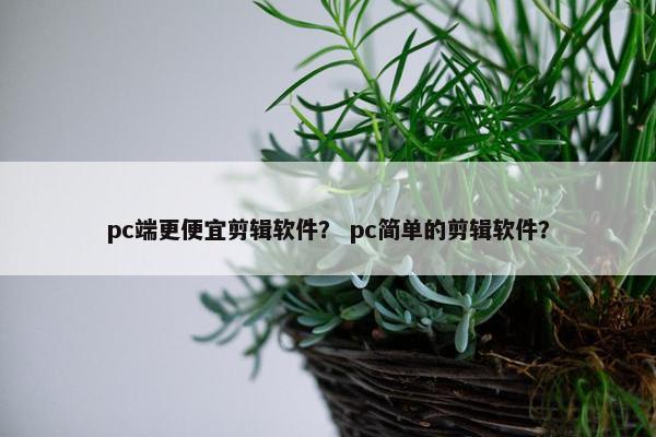 pc端更便宜剪辑软件？ pc简单的剪辑软件？