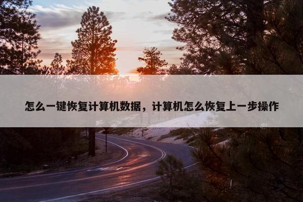 怎么一键恢复计算机数据，计算机怎么恢复上一步操作