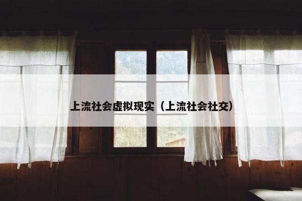 上流社会虚拟现实（上流社会社交）