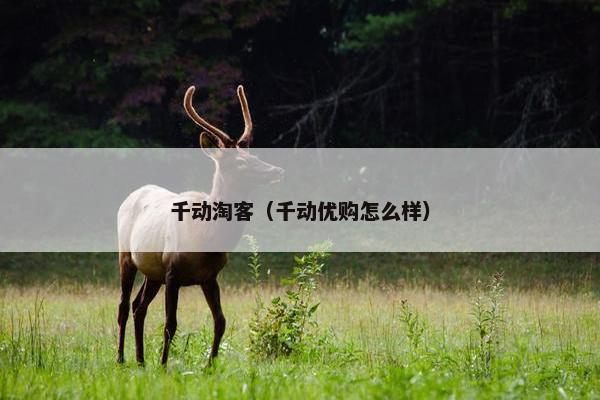 千动淘客（千动优购怎么样）