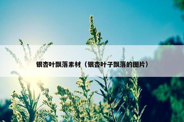 银杏叶飘落素材（银杏叶子飘落的图片）