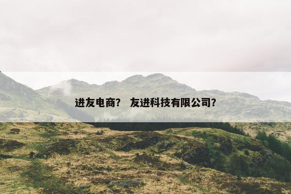 进友电商？ 友进科技有限公司？