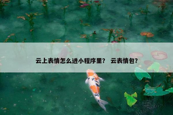 云上表情怎么进小程序里？ 云表情包？
