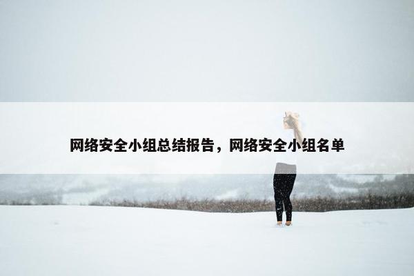 网络安全小组总结报告，网络安全小组名单