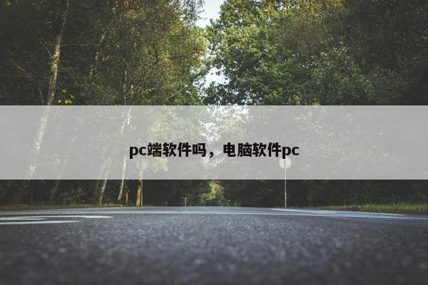 pc端软件吗，电脑软件pc