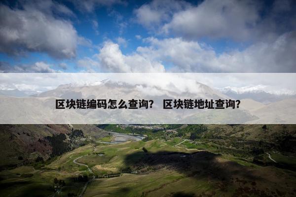 区块链编码怎么查询？ 区块链地址查询？