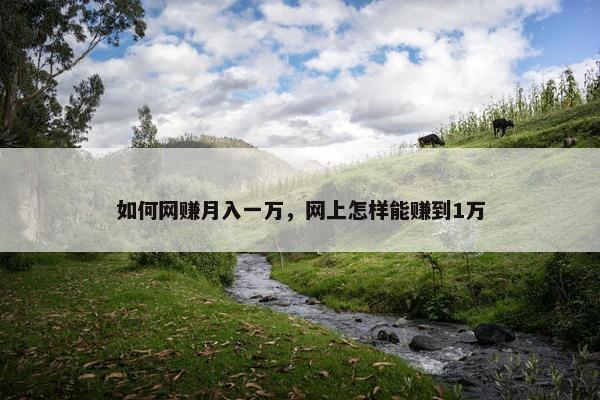 如何网赚月入一万，网上怎样能赚到1万