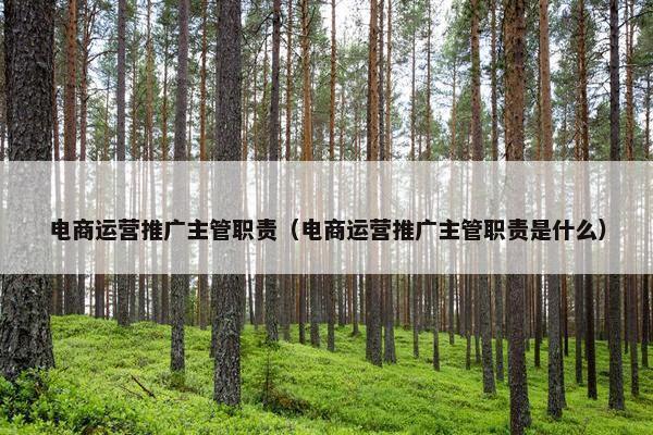 电商运营推广主管职责（电商运营推广主管职责是什么）