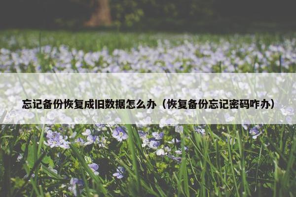 忘记备份恢复成旧数据怎么办（恢复备份忘记密码咋办）