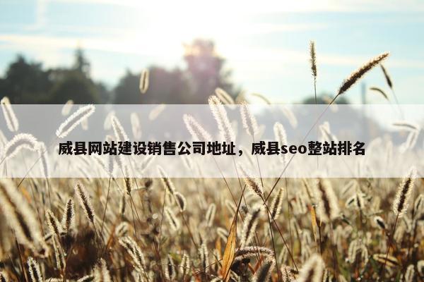威县网站建设销售公司地址，威县seo整站排名