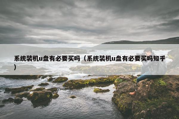 系统装机u盘有必要买吗（系统装机u盘有必要买吗知乎）