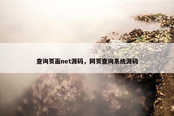 查询页面net源码，网页查询系统源码