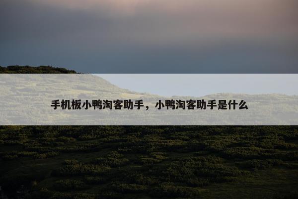 手机板小鸭淘客助手，小鸭淘客助手是什么