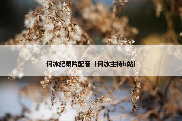何冰纪录片配音（何冰主持b站）