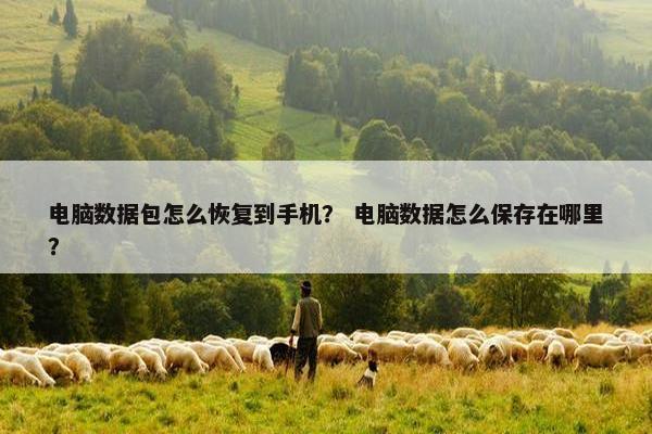 电脑数据包怎么恢复到手机？ 电脑数据怎么保存在哪里？
