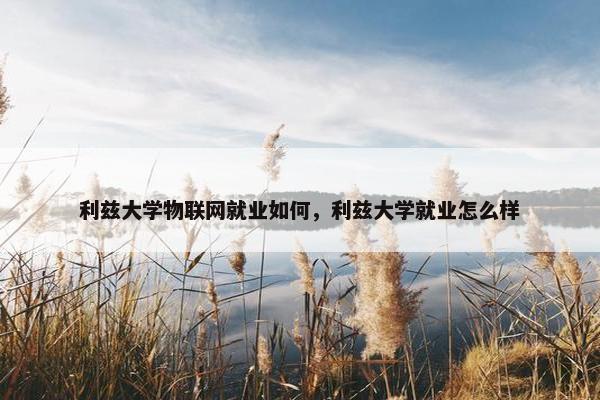 利兹大学物联网就业如何，利兹大学就业怎么样