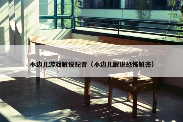 小边儿游戏解说配音（小边儿解说恐怖解密）