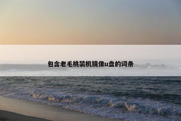 包含老毛桃装机镜像u盘的词条