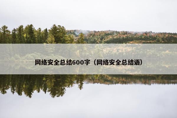 网络安全总结600字（网络安全总结语）