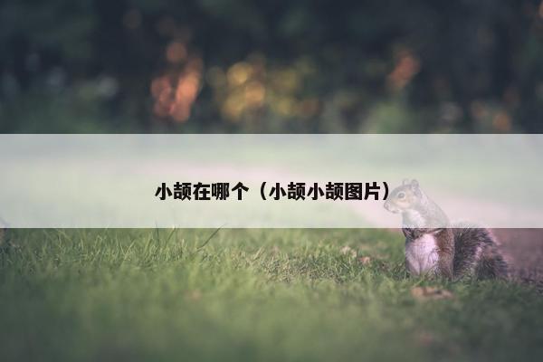 小颉在哪个（小颉小颉图片）
