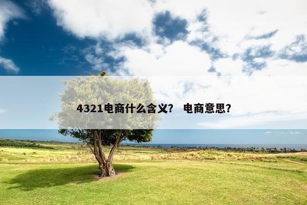 4321电商什么含义？ 电商意思？