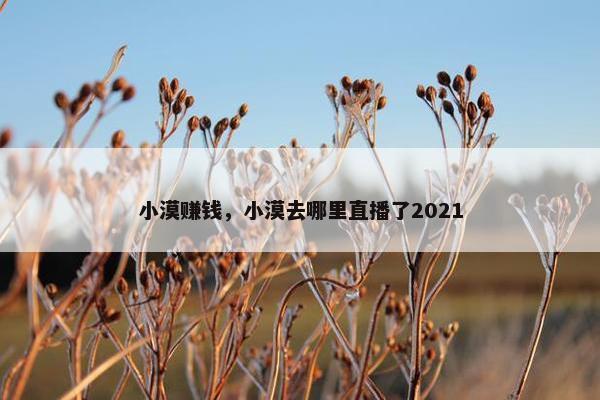 小漠赚钱，小漠去哪里直播了2021